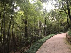 -杭州半山国家森林公园