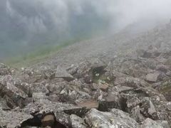 -凤凰山国家森林公园