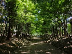 -醍醐寺