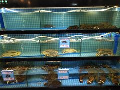 水产区-琼大师东方烤乳猪(亚特兰蒂斯店)