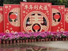 -盈香心动乐园