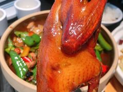 -鸽子侯·家宴·平价海鲜(市图书馆店)