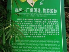 -南海湾森林生态园