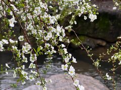 -中国茶叶博物馆(双峰馆区)