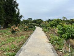 -鹤之洲湿地公园