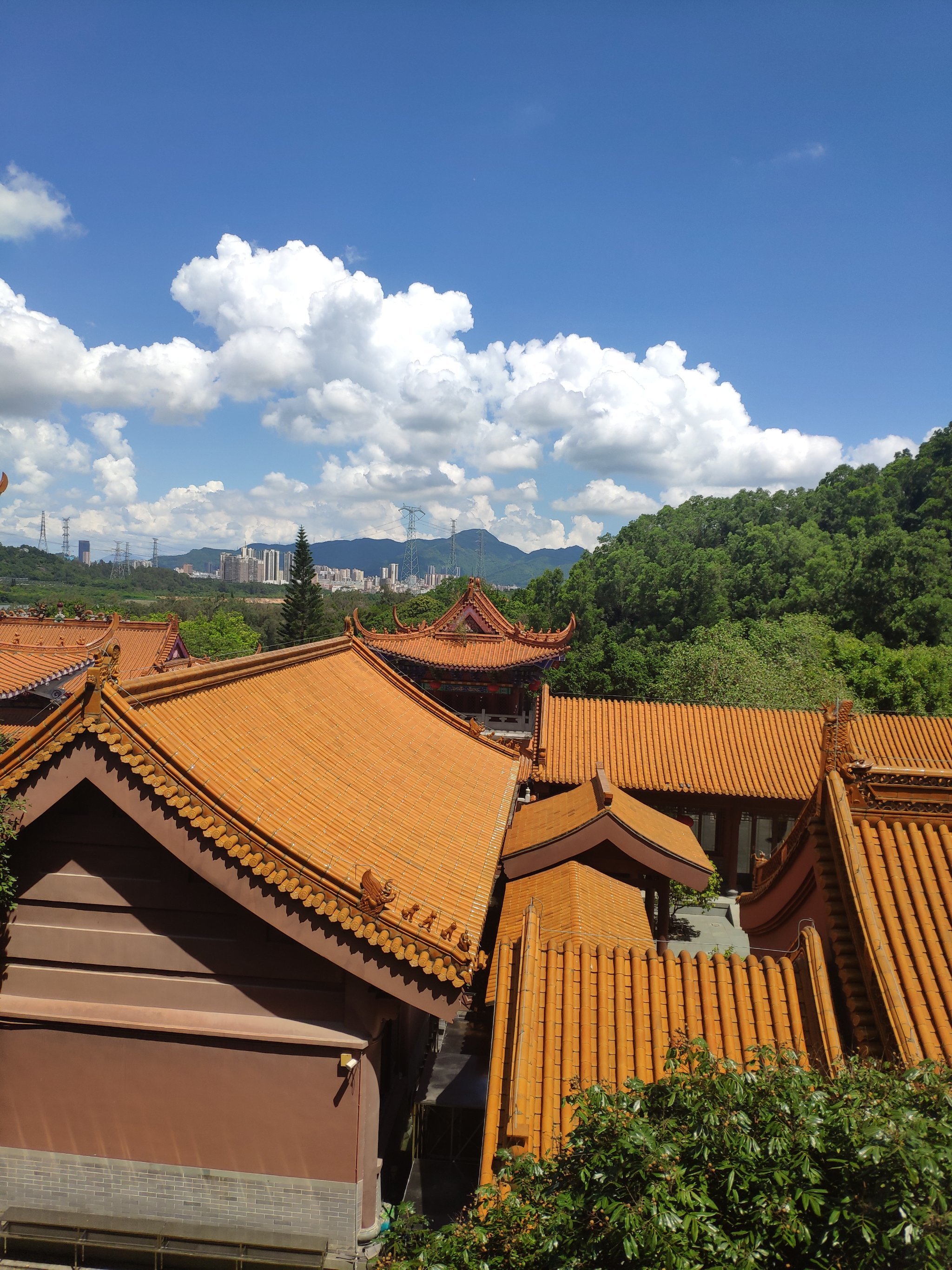 清闲周日放松游之光明弘源寺