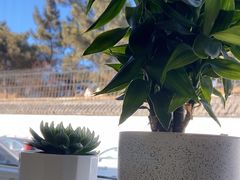 -宾朋海鲜特色美食餐厅·纯手工鲅鱼水饺(兴海路店)