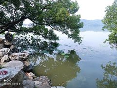 -东湖落雁景区