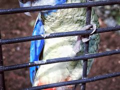 -费瑟代尔野生动物园