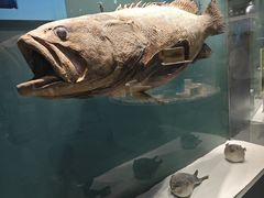 -西安曲江海洋极地公园