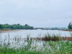 -野鸭湖国家湿地公园