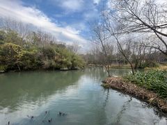 -西溪国家湿地公园