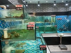 -农汤老店(顺联公园里店)