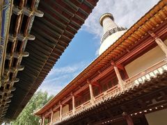 -张掖大佛寺景区