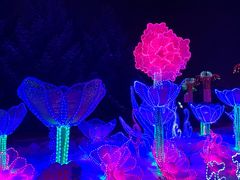 -长春公园(普阳街道)