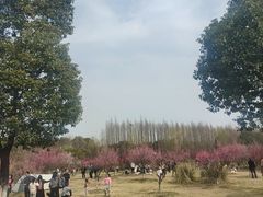 -南湖湿地公园