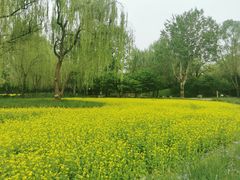 -北坞公园