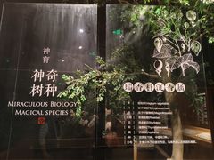 -香市公园-中国沉香文化博物馆