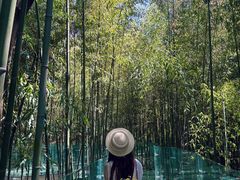 -竹泉村旅游度假区