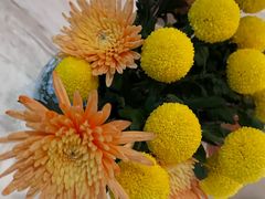 -南堂馆·新川菜(春熙路店)