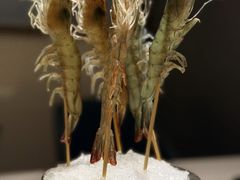 -海月轩海鲜豆捞(紫金塔店)