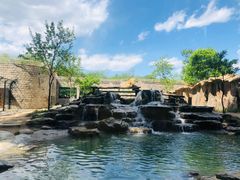 -北京野生动物园