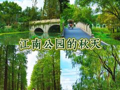 -昆山城市生态森林公园