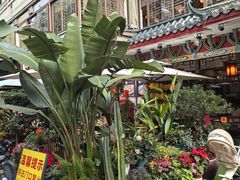-山水茶艺馆·点心粤菜·30年老字号