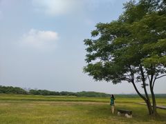 -盘龙城国家考古遗址公园