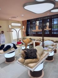 -奈尔宝·国风主题儿童乐园·亲子餐厅(豫园商城店)