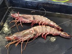 -ZF Seafood Restaurant 卓峰海鲜餐