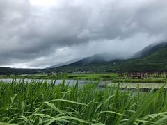 -腾冲北海湿地