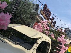 -The Grounds of Alexandria