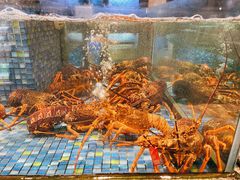 水产区-乾隆美食·本帮菜(黄河路店)
