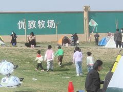 -君乐宝优致牧场