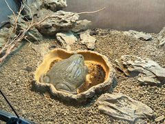 -厦门园林博览苑