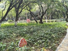 -黄埔荔枝公园