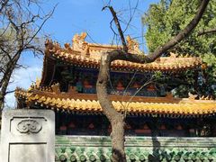 -北京国子监胡同