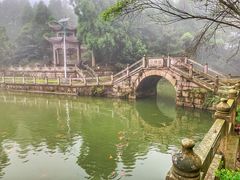 -玉苍山国家森林公园