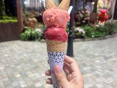 冰淇淋火炬香草冰淇淋-Vola Gelato意大利手工冰淇淋(朝阳大悦城店)