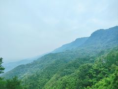 -缙云山景区
