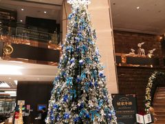 -赛瑞喜来登大酒店-盛宴自助餐厅