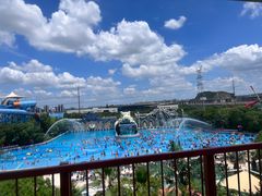 -苏州乐园森林水世界