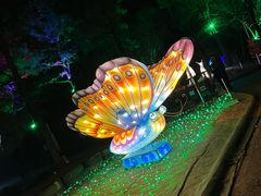 -大塘金香草谷