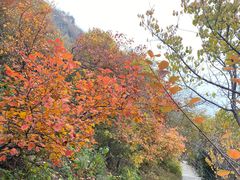 -香山公园