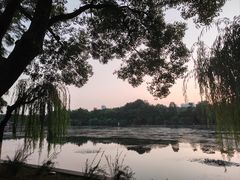 -东湖听涛景区
