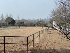 -合肥野生动物园