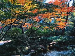 -中国茶叶博物馆(双峰馆区)