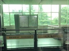 -上海龙之梦万丽酒店