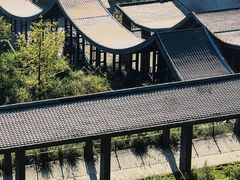-武陵山森林公园